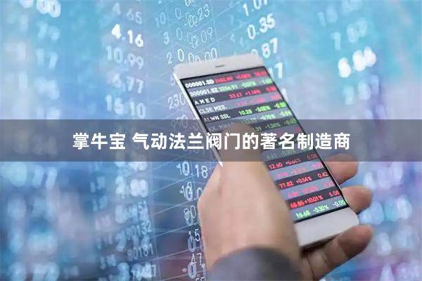 掌牛宝 气动法兰阀门的著名制造商